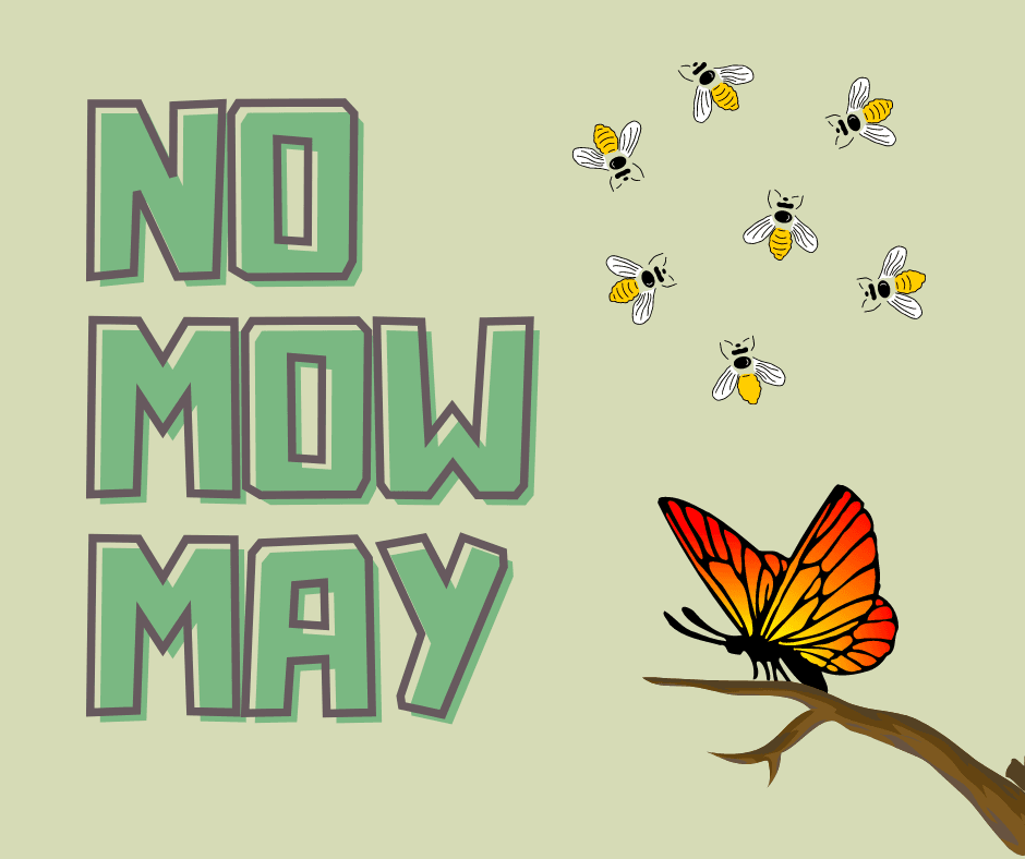 No Mow May Title