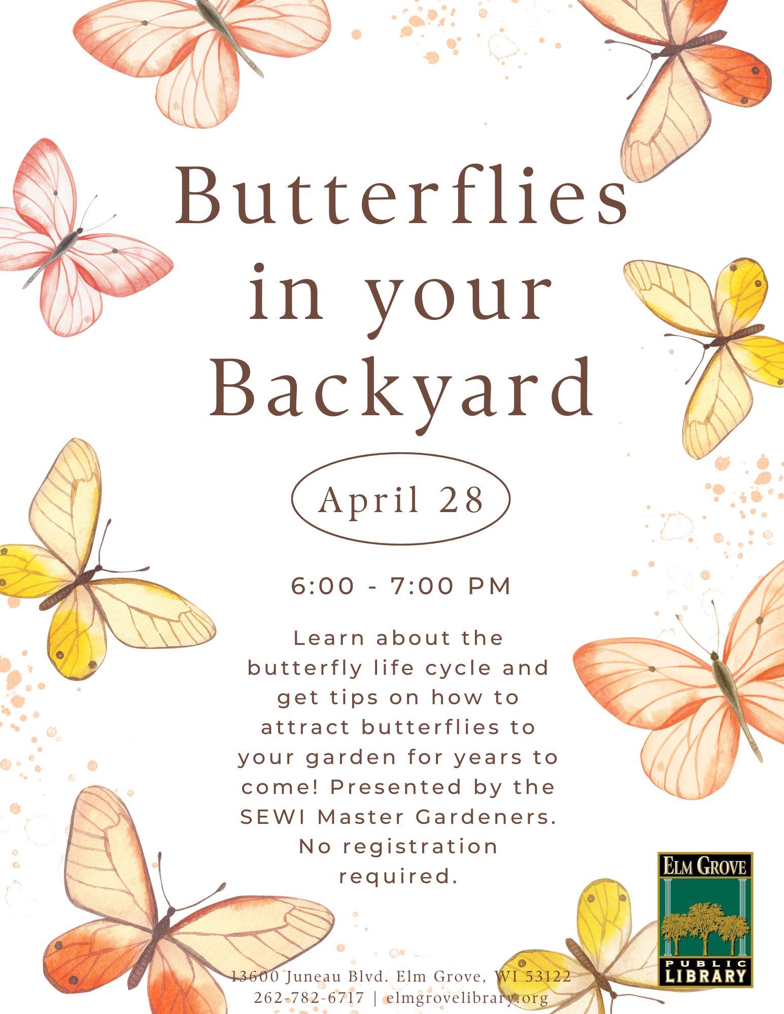 Butterflies in Your Backyard