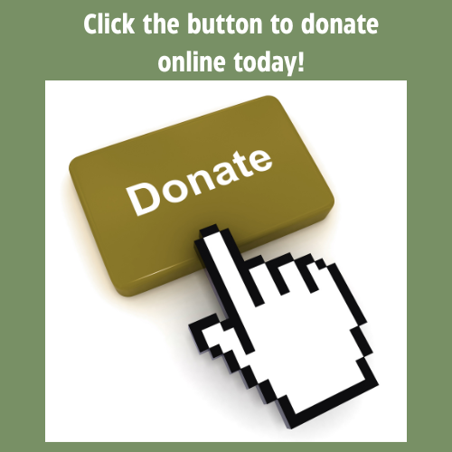 Donate Now Beautification Veterans Park